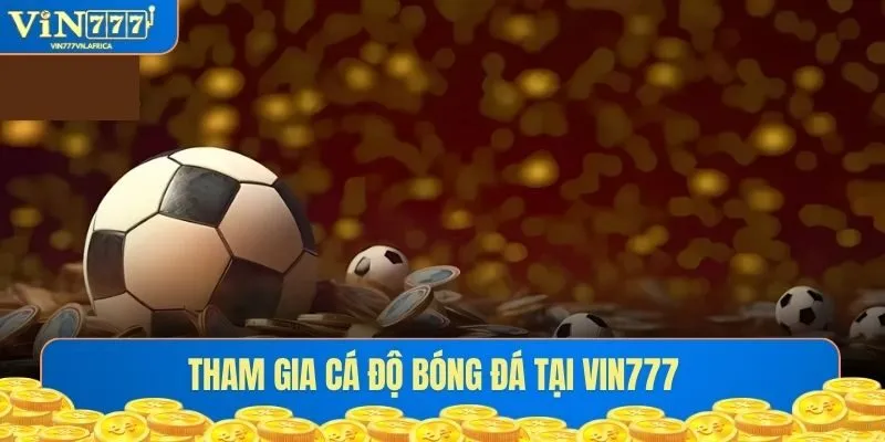 Cá Độ Bóng Đá Xanh Chín, Uy Tín Tại Nhà Cái Vin777