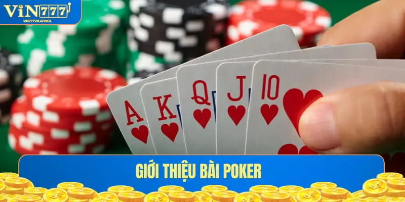 Tìm hiểu Poker thịnh hành